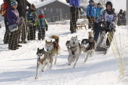 Lenk 2012 SM